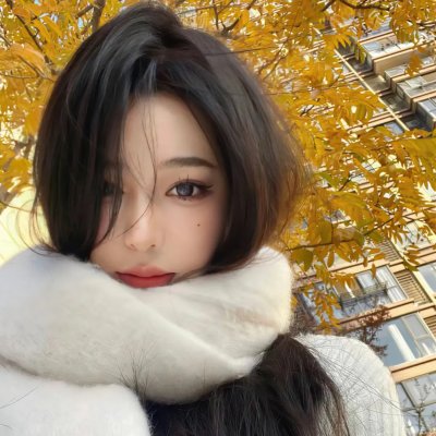 蝶之力学 杀人分析班